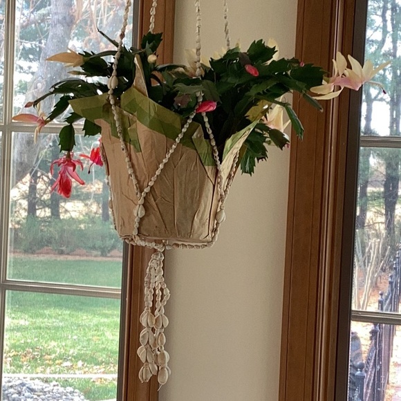 Vintage handcrafted seashell and cowrie shell 38” plant hanger - Picture 1 of 6